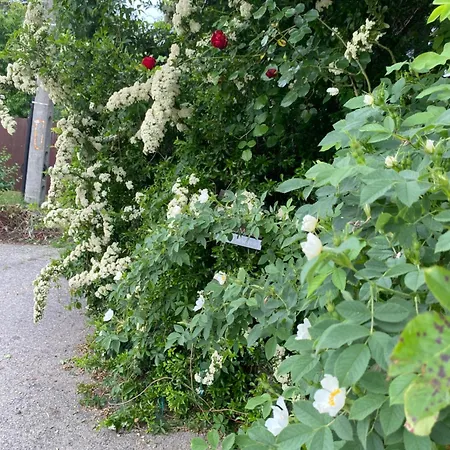 Maximum 4 Szemely Szamara! Apartmán