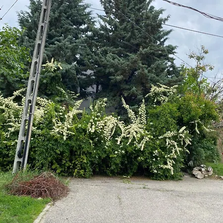 Maximum 4 Szemely Szamara! * Budaörs