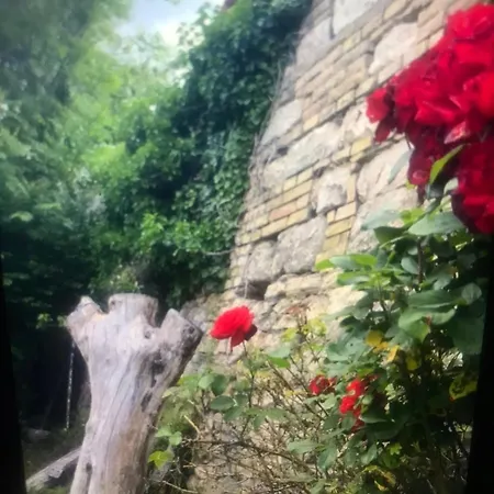 Maximum 4 Szemely Szamara! Apartmán Budaörs